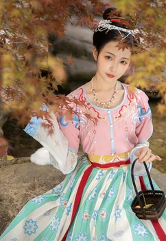 Çin Tarzı Geleneksel hanfu elbise Kadın Song Hanedanı Nakış Hanfu Antik Klasik Dans Sahne Performansı Kostümleri